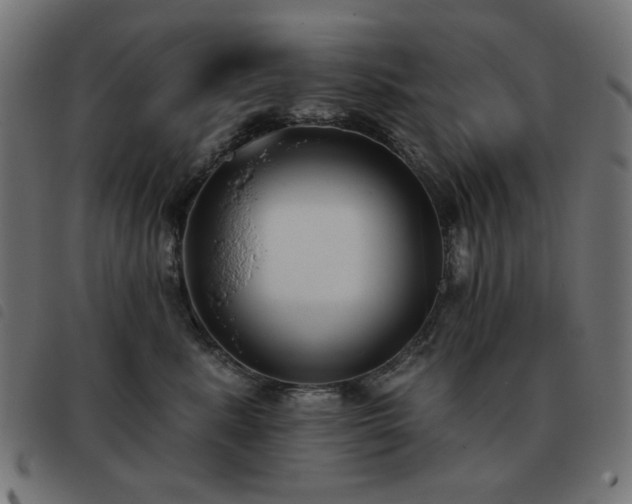 X0000093480619200710121447
