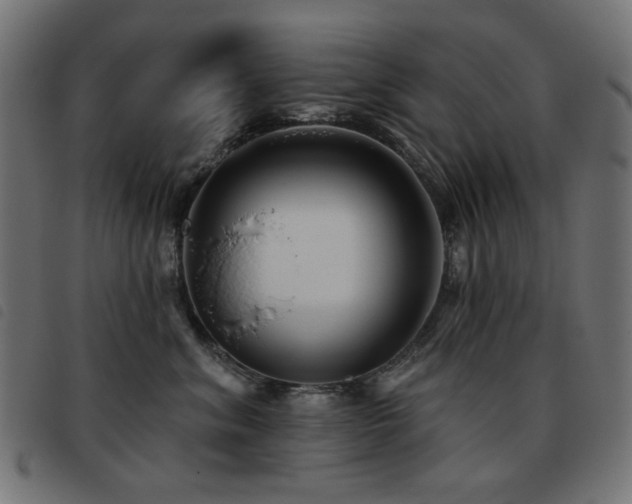 X0000093480620200710121447