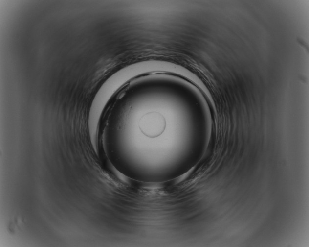 X0000093480621200710121447