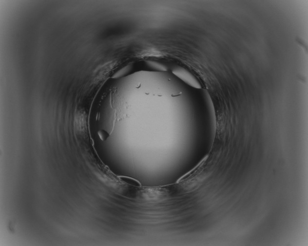 X0000093480623200710121447