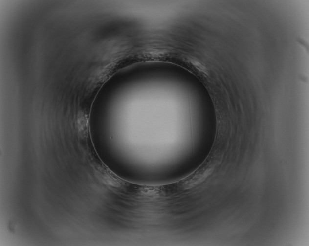 X0000093480624200710121447