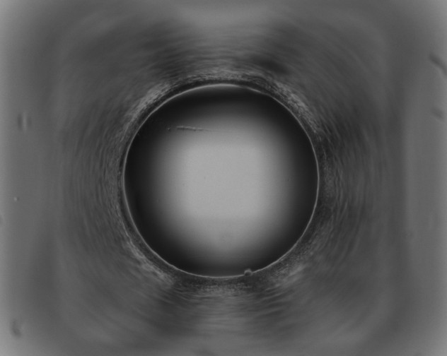 X0000093480625200710121446