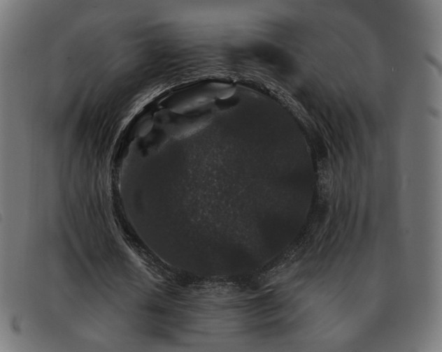 X0000093480626200710121446