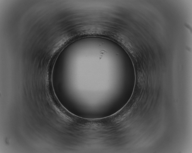 X0000093480629200710121446