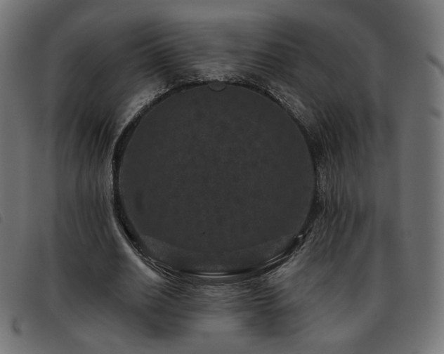 X0000093480630200710121446