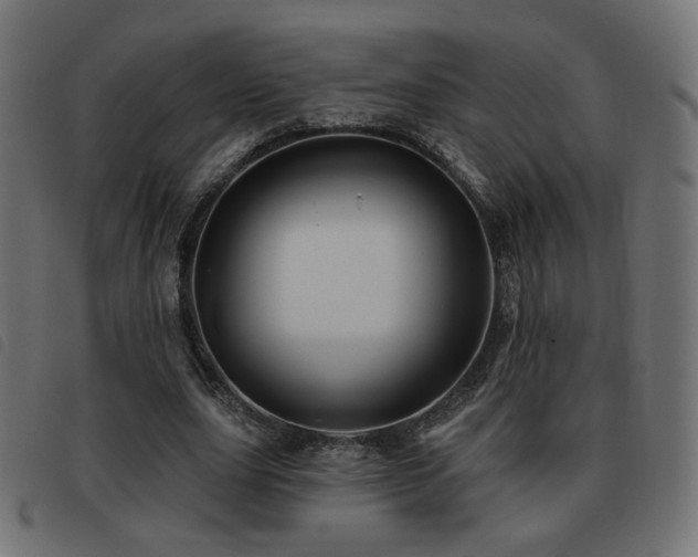 X0000093480631200710121446