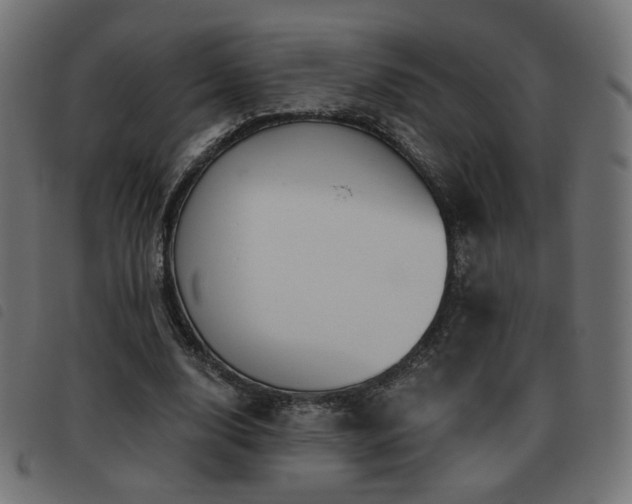 X0000093480632200710121446