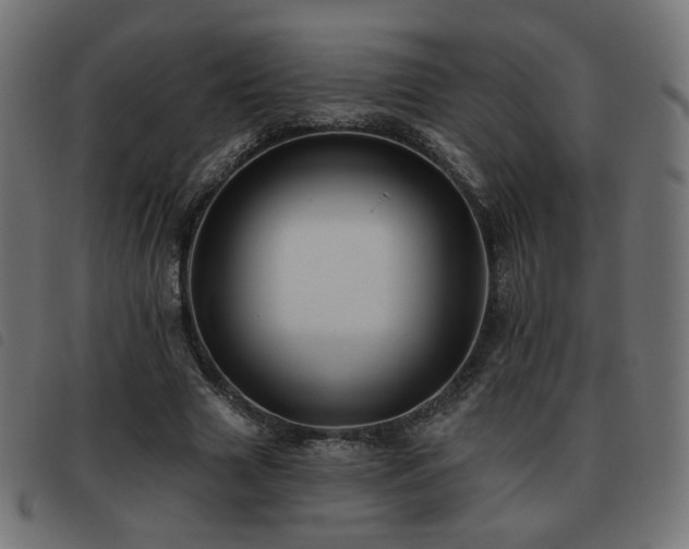 X0000093480633200710121446