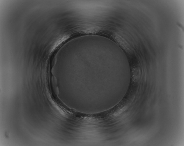 X0000093480634200710121446
