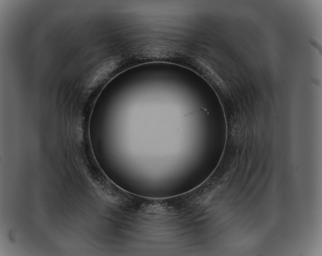 X0000093480635200710121446