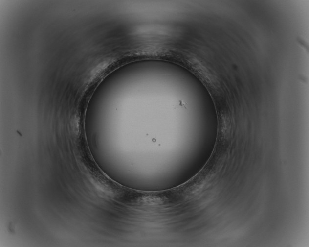 X0000093480636200710121446