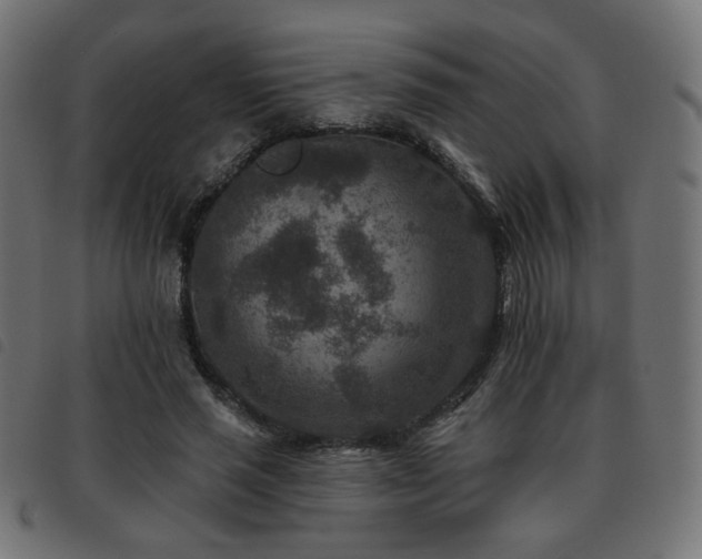 X0000093480637200710121446