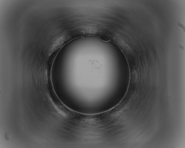 X0000093480638200710121446