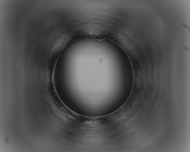 X0000093480639200710121446