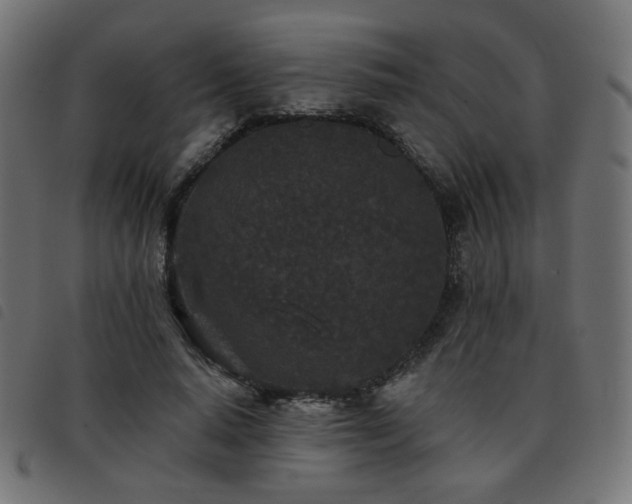 X0000093480640200710121446