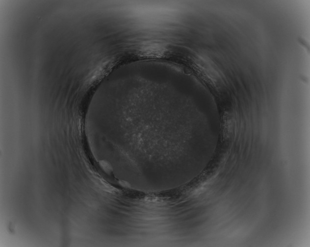 X0000093480641200710121446