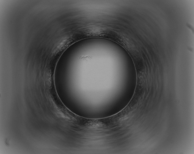 X0000093480642200710121446