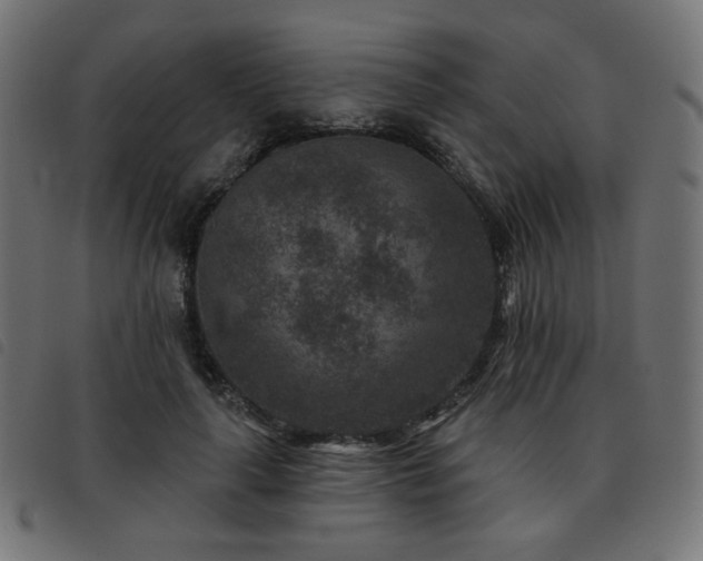 X0000093480643200710121446