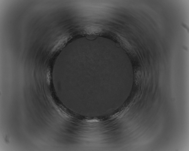 X0000093480644200710121446