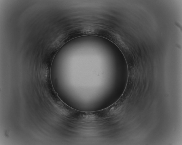 X0000093480645200710121446