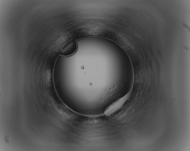 X0000093480646200710121446