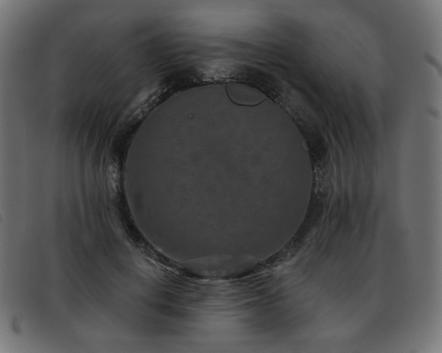 X0000093480648200710121446