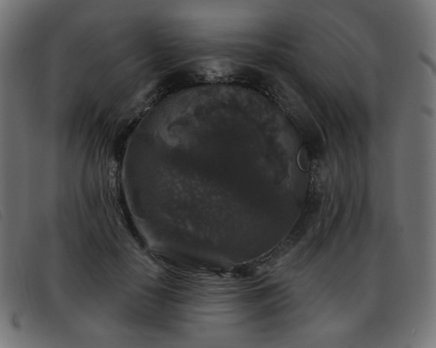 X0000093480650200710121446