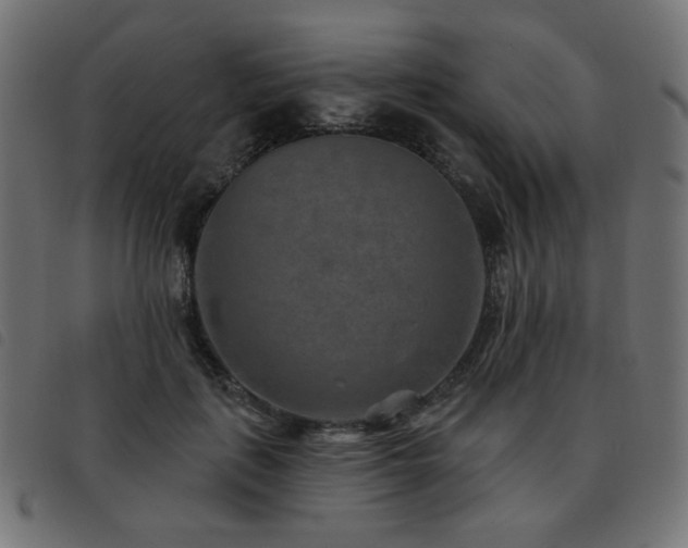 X0000093480651200710121446