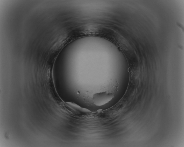 X0000093480652200710121446