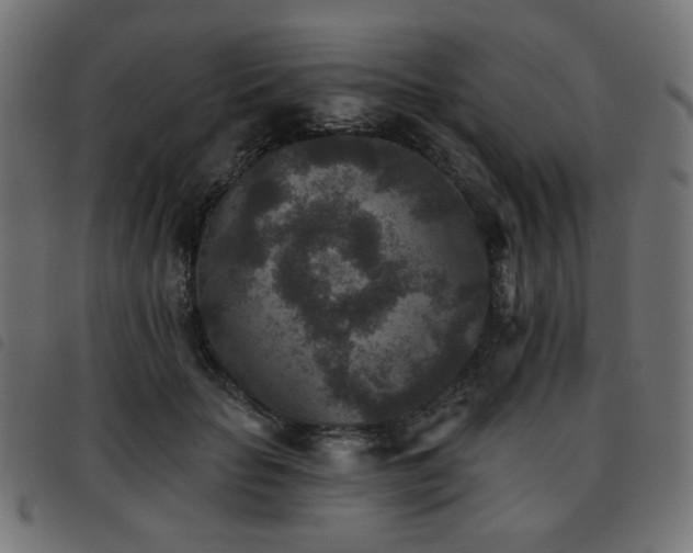 X0000093480653200710121446