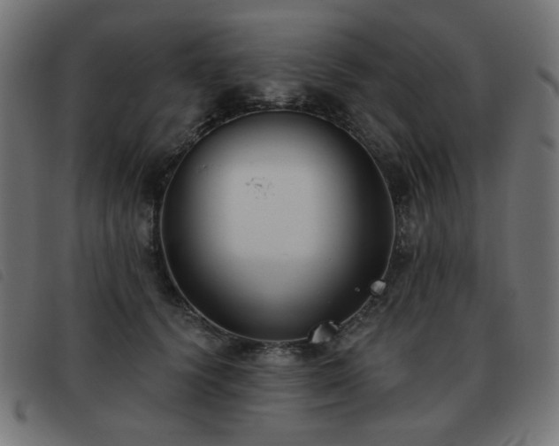 X0000093480656200710121447