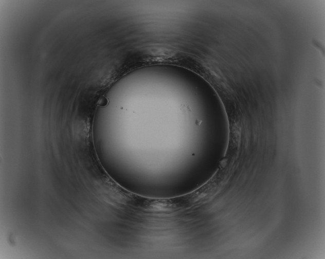 X0000093480657200710121447