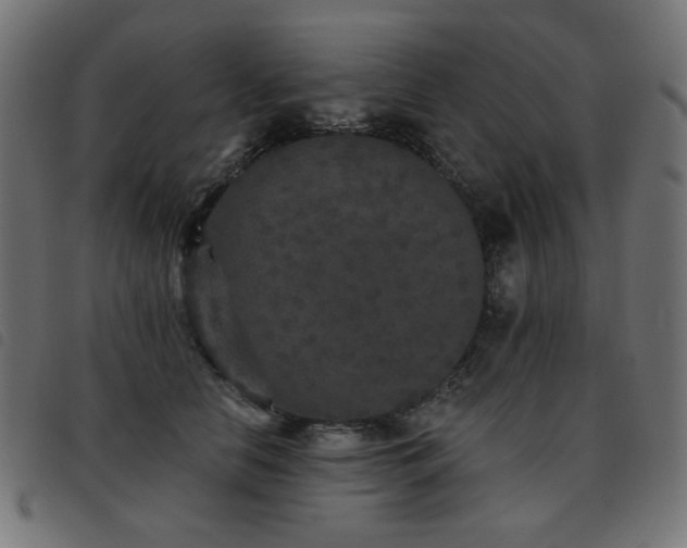 X0000093480658200710121447