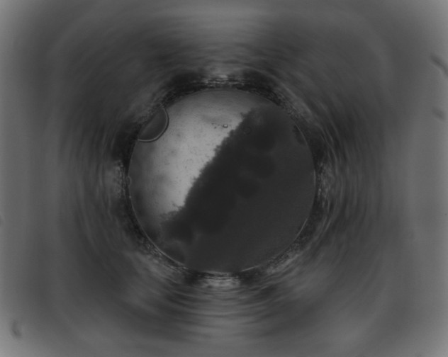 X0000093480659200710121447
