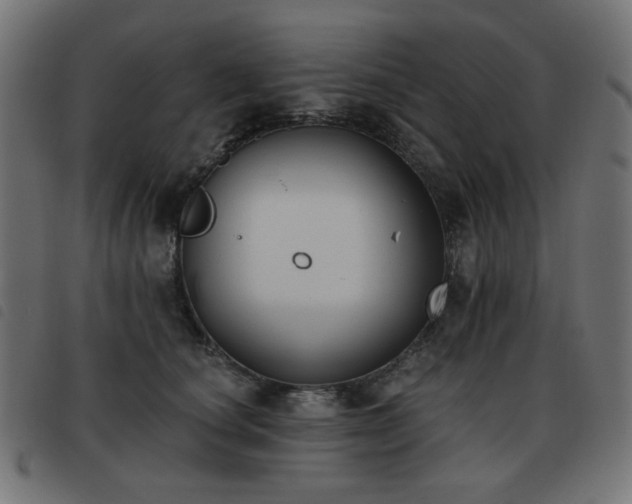 X0000093480660200710121447
