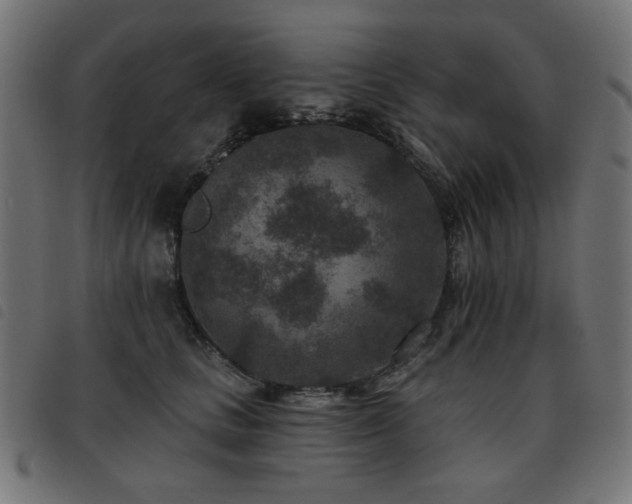 X0000093480661200710121447