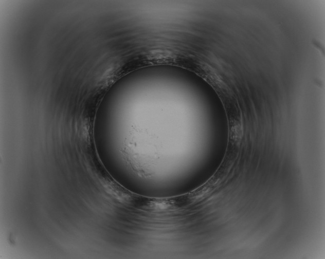 X0000093480662200710121447