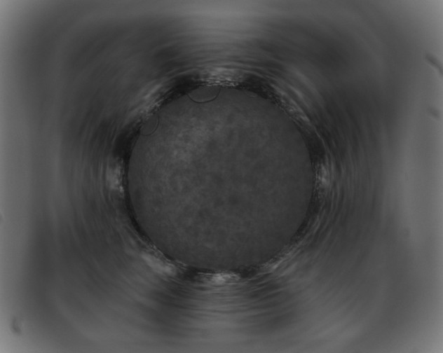 X0000093480663200710121447