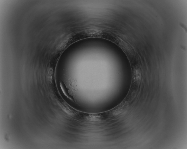 X0000093480664200710121447