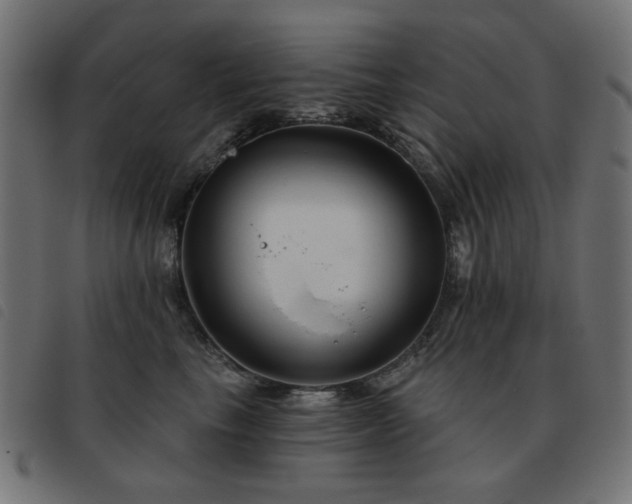 X0000093480665200710121447