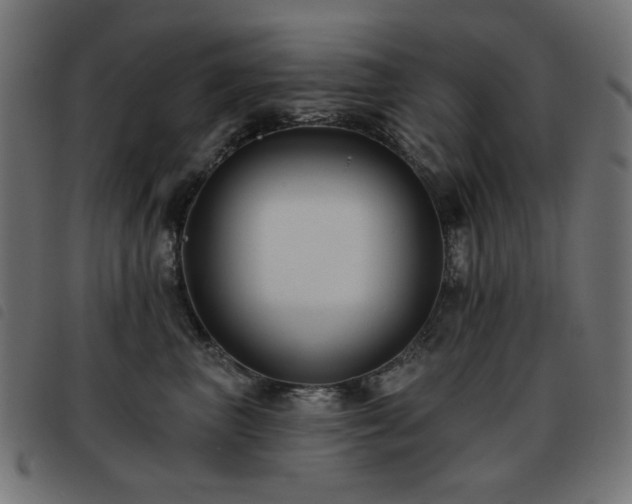 X0000093480667200710121447