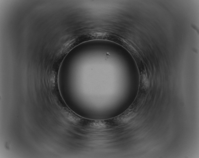 X0000093480668200710121447