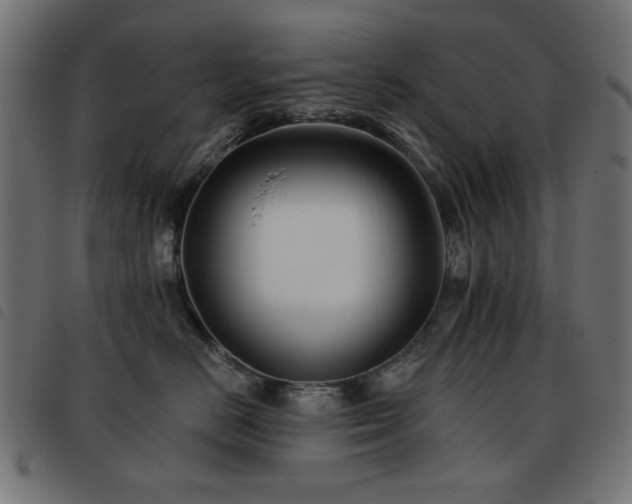 X0000093480670200710121447