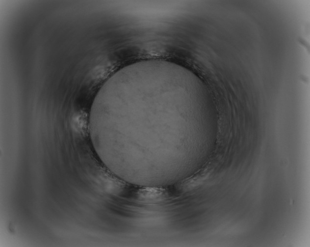 X0000093480672200710121447