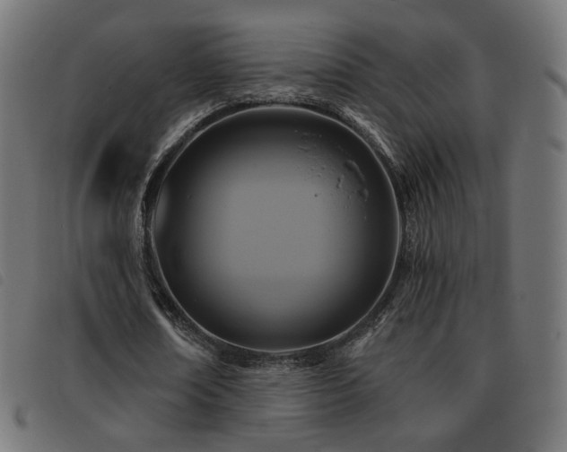 X0000093480674200710121446