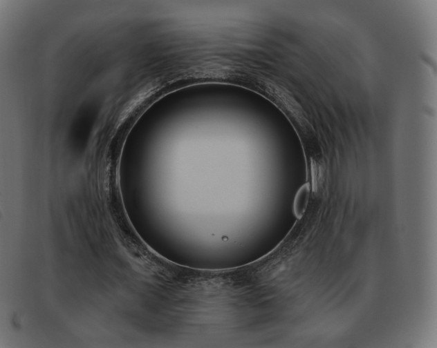 X0000093480675200710121446
