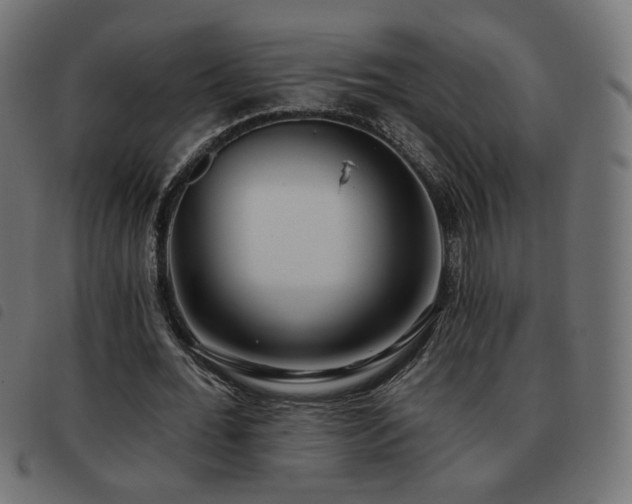 X0000093480676200710121446