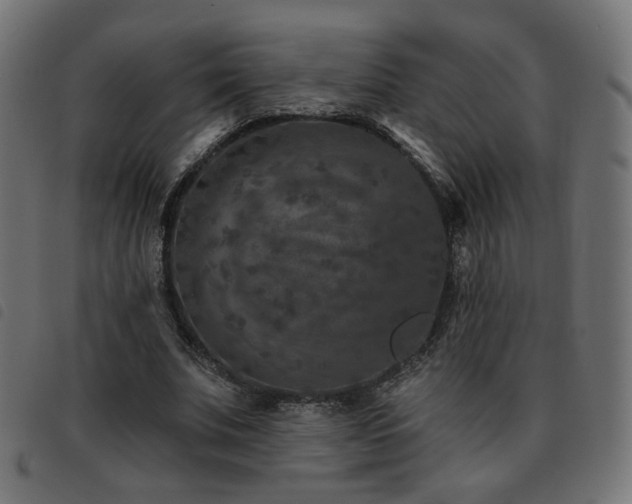 X0000093480679200710121446