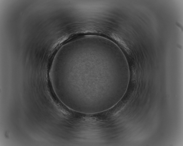 X0000093480681200710121446