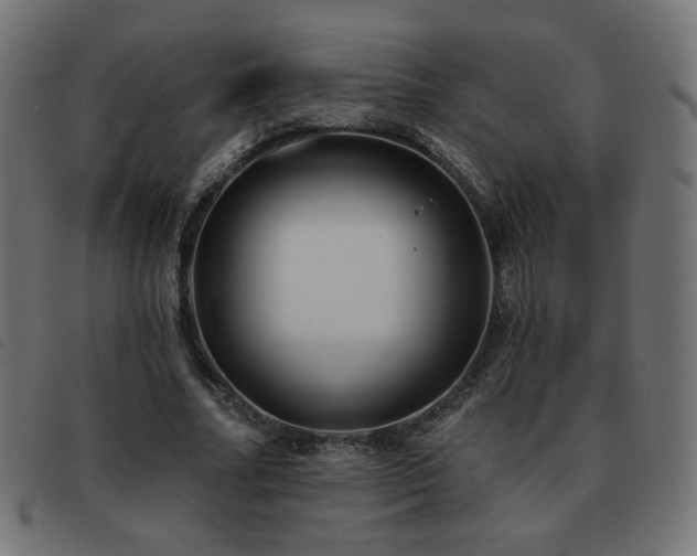 X0000093480682200710121446